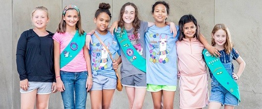 Junior Girl Scout Troop