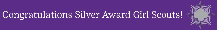 2022-Silver-Award-Congrats-Banner-Webpage