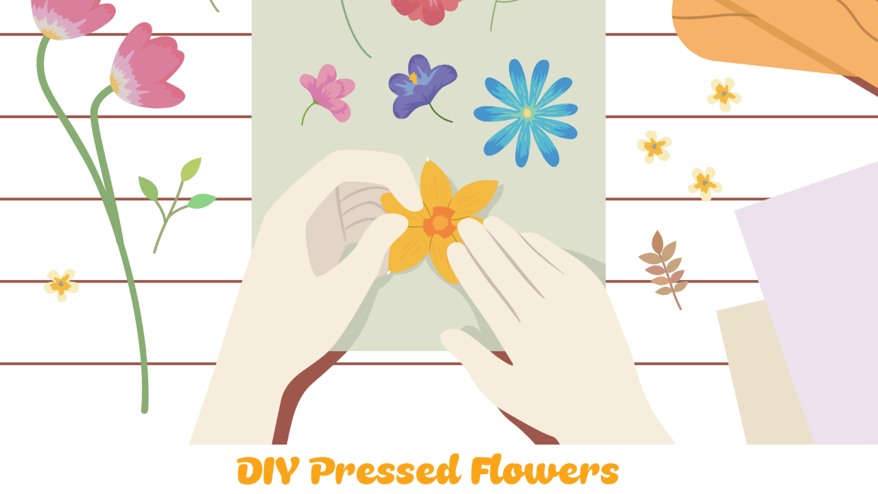 diy-pressed-flowers