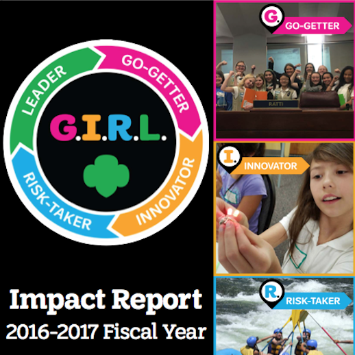 2016-2017 Annual Report Thumbnail