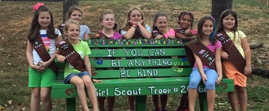 Donate to the Girl Scout Council of the Southern Appalachians